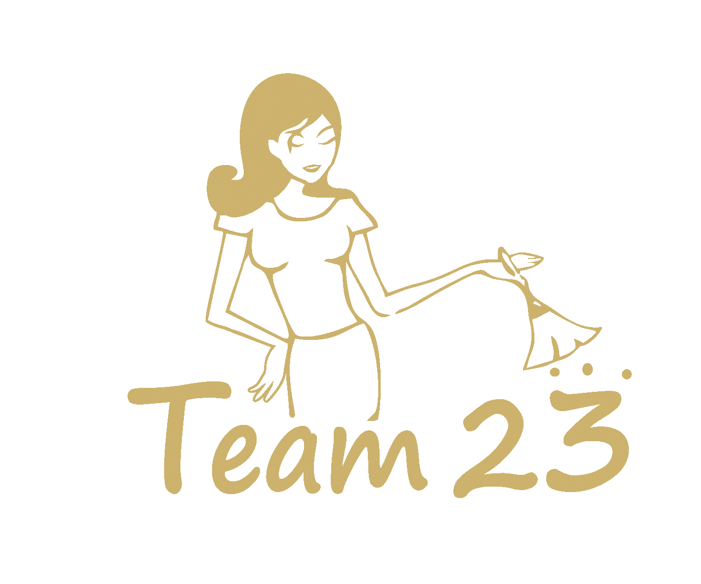 www.team23.se